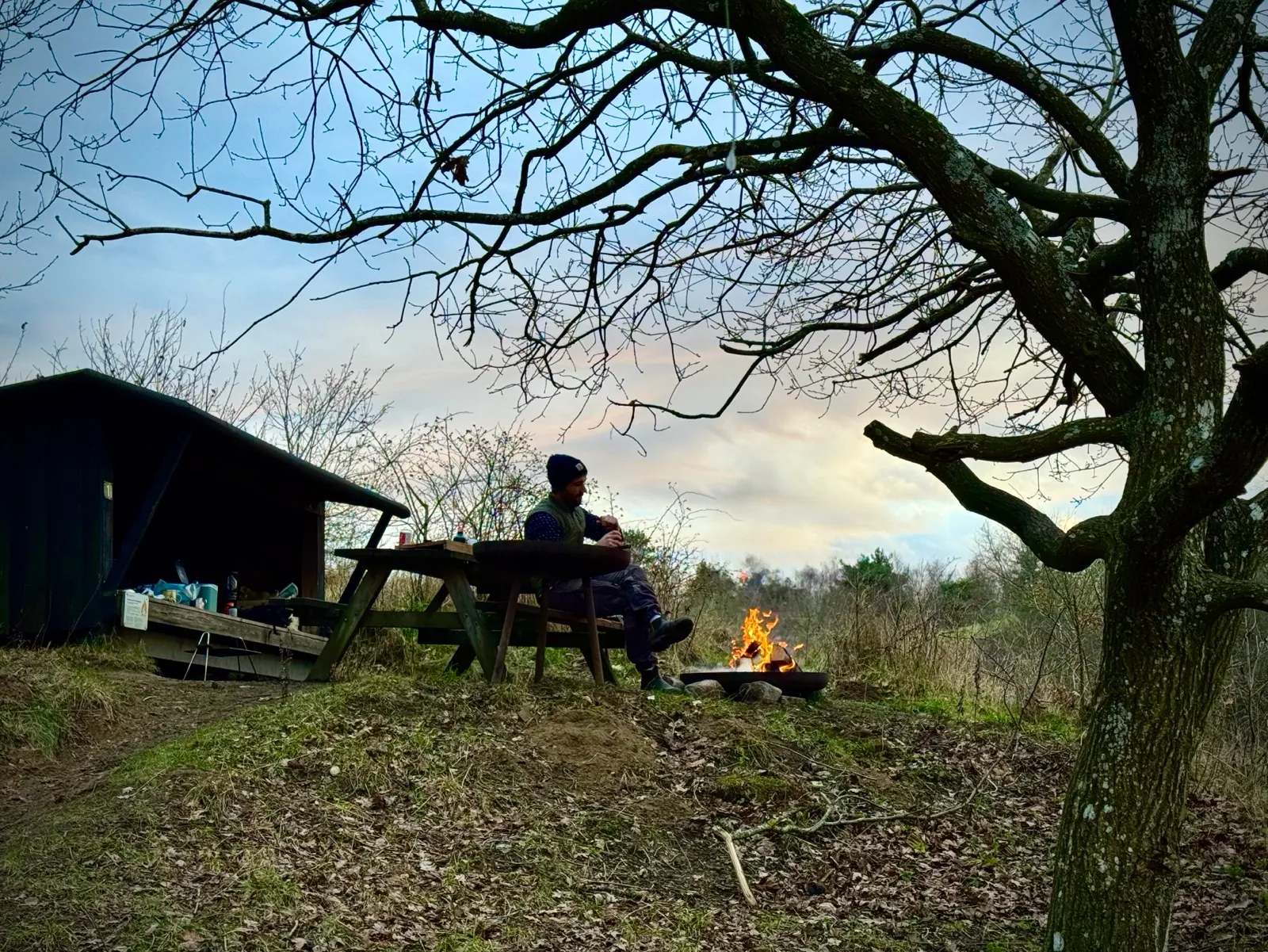 Bare tree branches over a lean-to shelter, where someone sits by a small campfire at dusk.